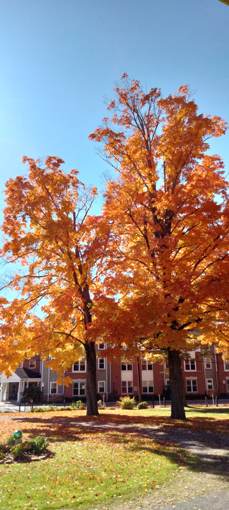 Fall view from front porch